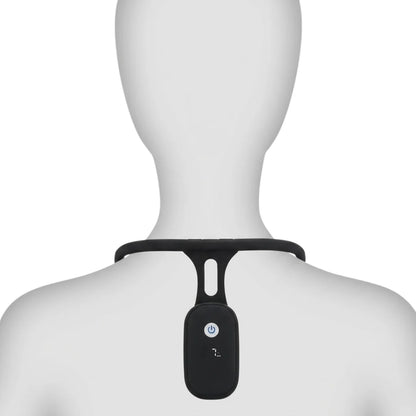 Neck Posture